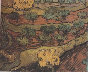 Olive Trees on a Hill by Vincent van Gogh